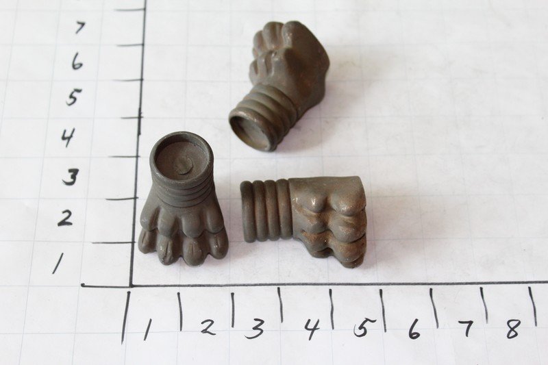 Lions Feet (3) (1 of 1)