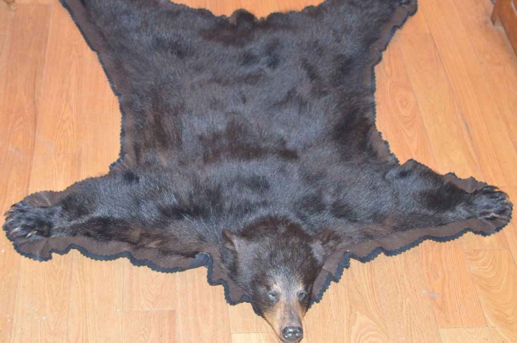 Black Bear Skin (1 of 7)