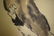 A Chinese Cat Painting, Xu Beihong Mark - 5