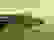 item-2248403=4