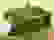 item-2248403=5