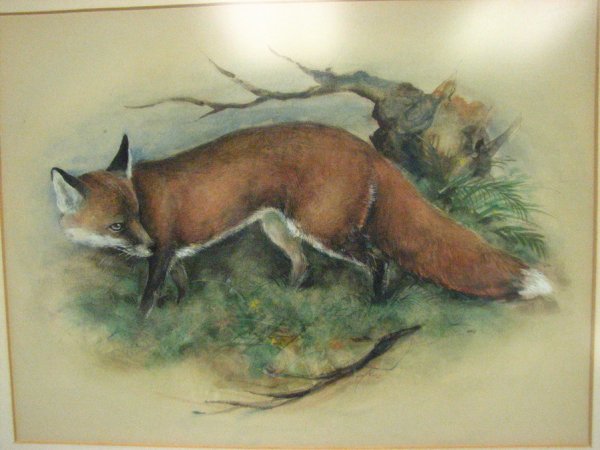 RED FOX WATERCOLOR BY ORR