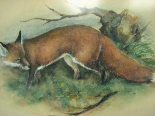 RED FOX WATERCOLOR BY ORR - 2