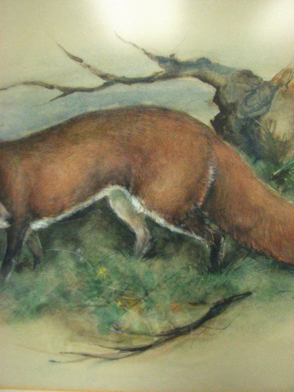 RED FOX WATERCOLOR BY ORR - 4