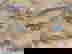 item-843407=3