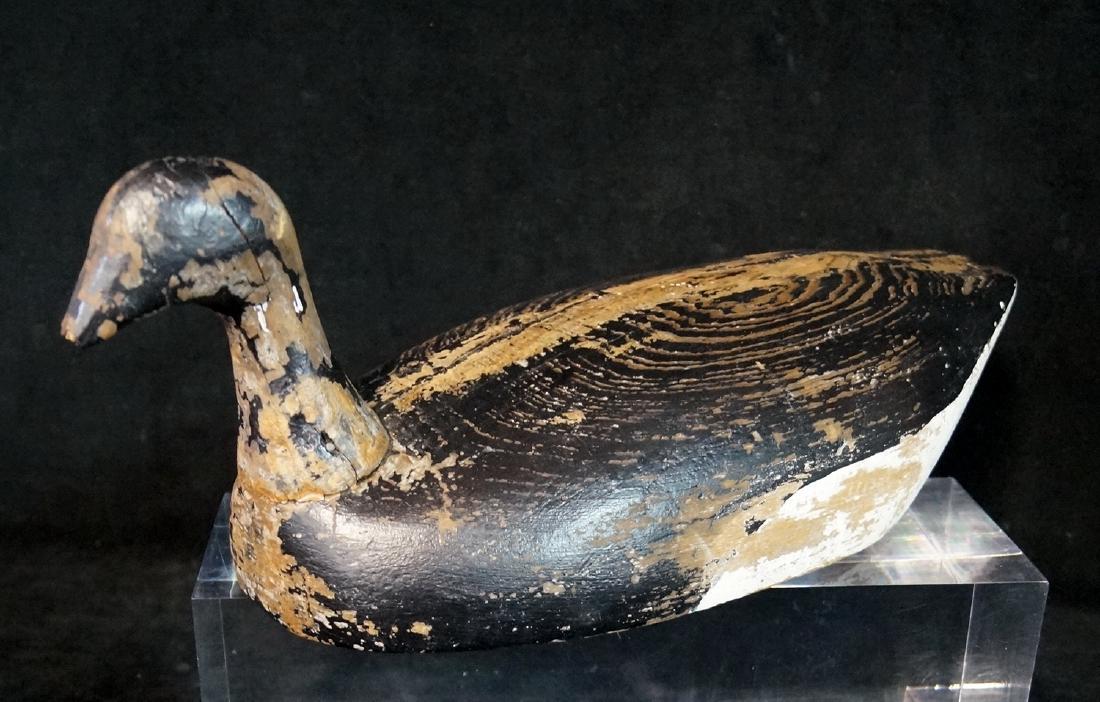 ROOT HEAD BRANT DECOY (BELLPORT BAY) C. 191020