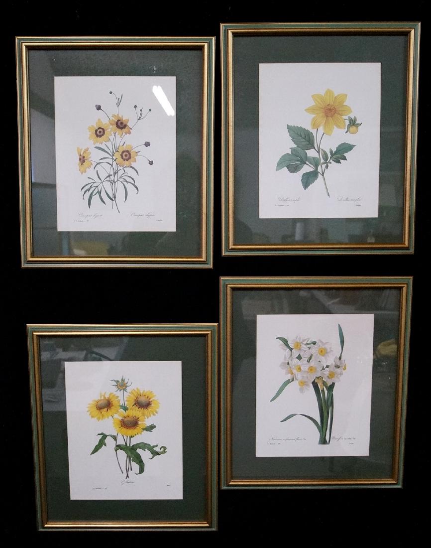 GROUP 4 BOTANICAL PRINTS (1 of 5)