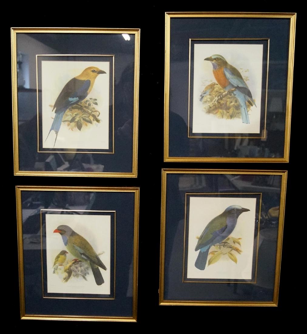 GROUP 4 BIRD PRINTS (1 of 9)