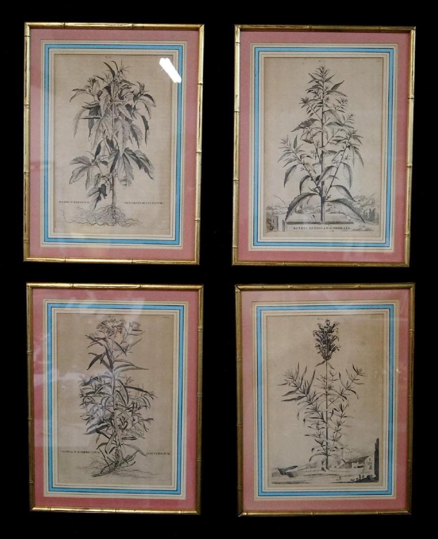 4 ANTIQUE BOTANICAL PRINTS (1 of 6)