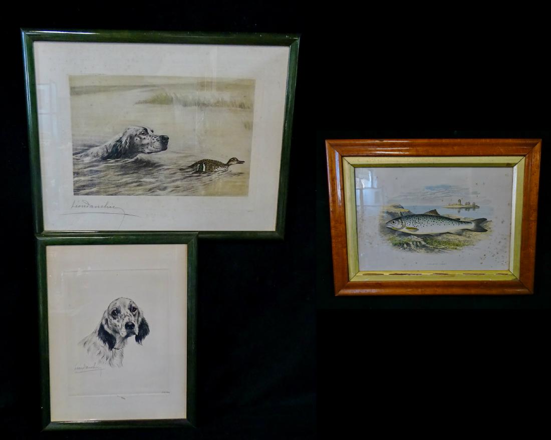 2 LEON DANCHIN PRINTS & ONE PRINT OF A TROUT 9X13.5" (1 of 12)