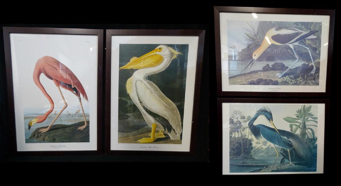 SET 4 AUDUBON PRINTS (1 of 13)