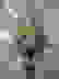 item-101504917=3