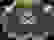 item-101504950=2