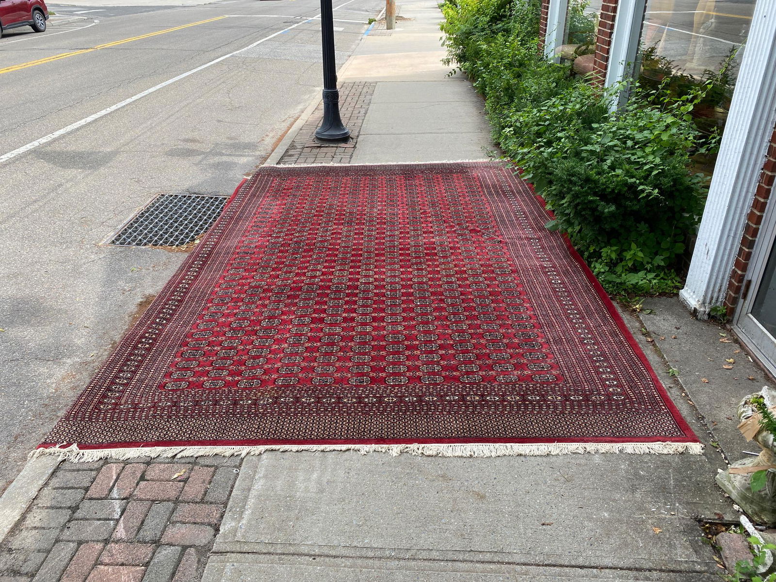 ROOM SIZE BOKARA RUG 14' X 9' (1 of 6)