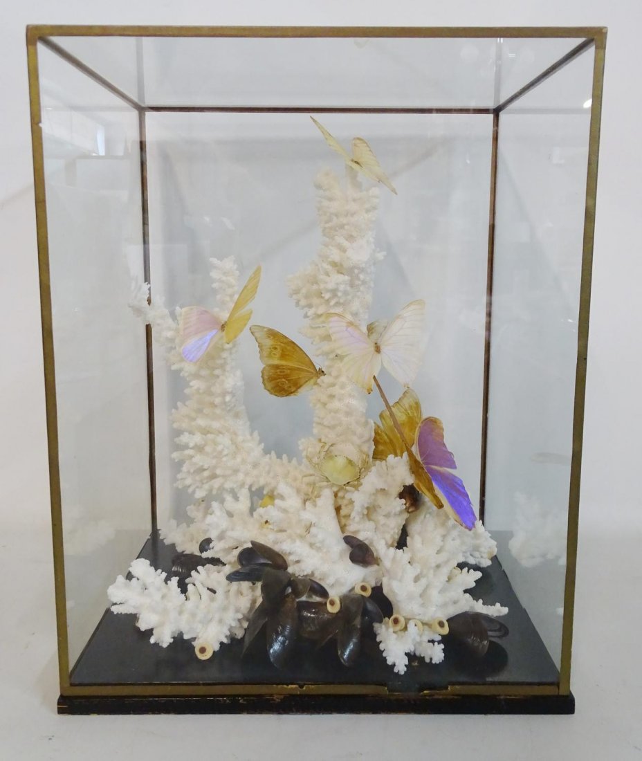 CORAL DIORAMA W/BUTTERFLIES ETC. 16" X 12.5" X 9.5": CORAL DIORAMA W/BUTTERFLIES ETC. 16" X 12.5" X 9.5"