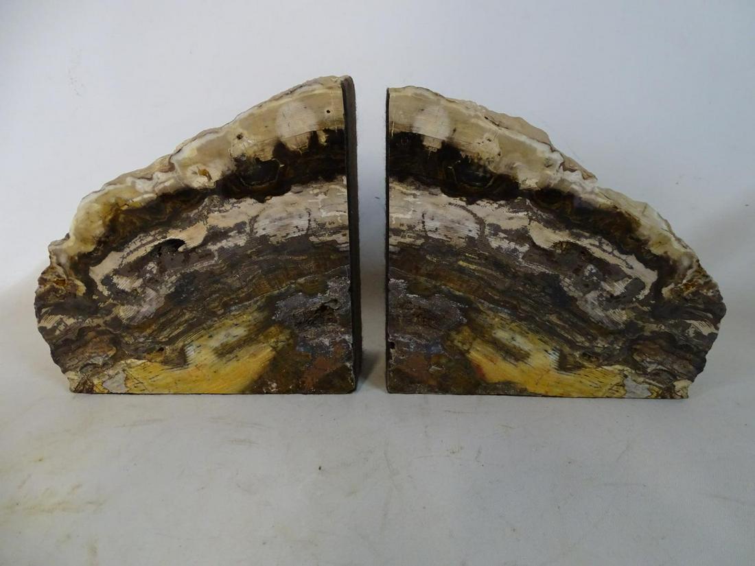 SET OF PETRIFIED WOOD BOOKENDS 6.35X6.35 EACH: SET OF PETRIFIED WOOD BOOKENDS 6.35X6.35 EACH