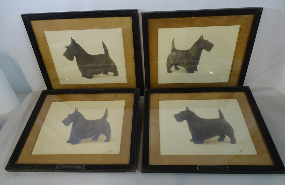 (4) VINTAGE SCOTTISH TERRIER PHOTOS INCLUDING "GLENIFER: (4) VINTAGE SCOTTISH TERRIER PHOTOS INCLUDING "GLENIFER GLAD EYE" 16" X 19" INC. FRAME