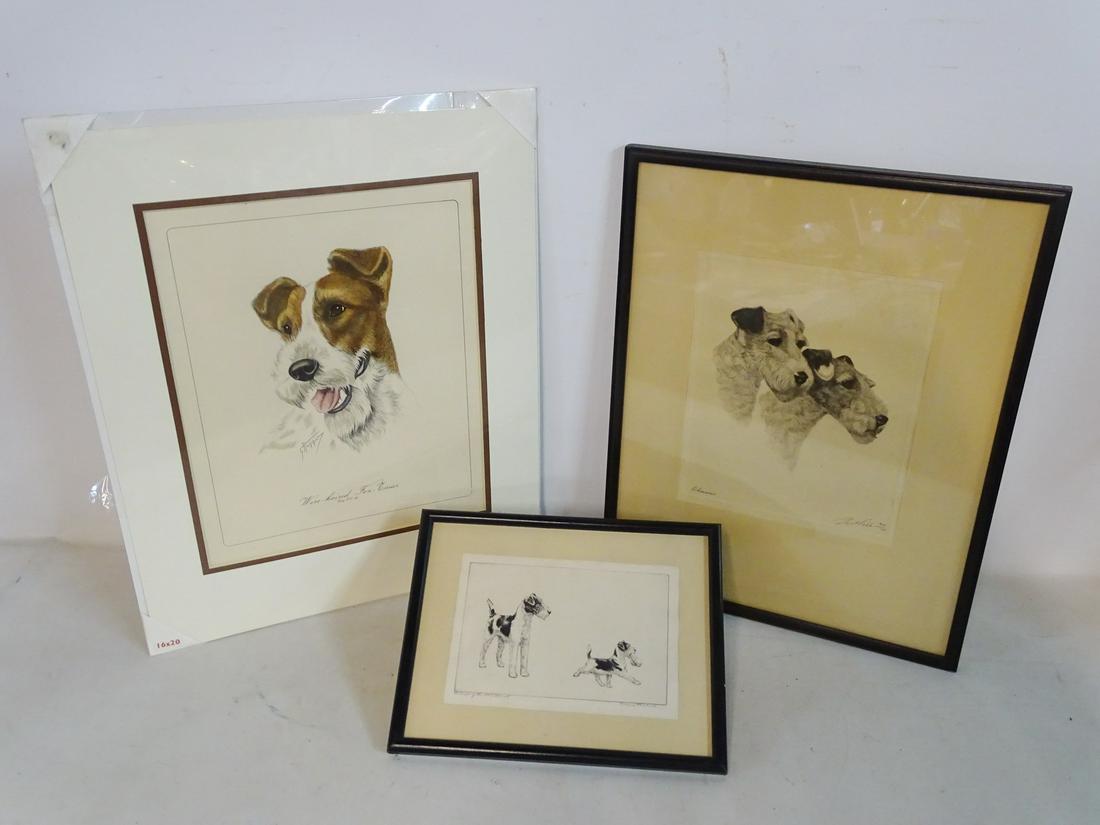 (3) WIRE-HAIRED FOX TERRIER WORKS INC. DIANA THORNE (1 of 12)