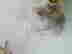 item-112441401=3