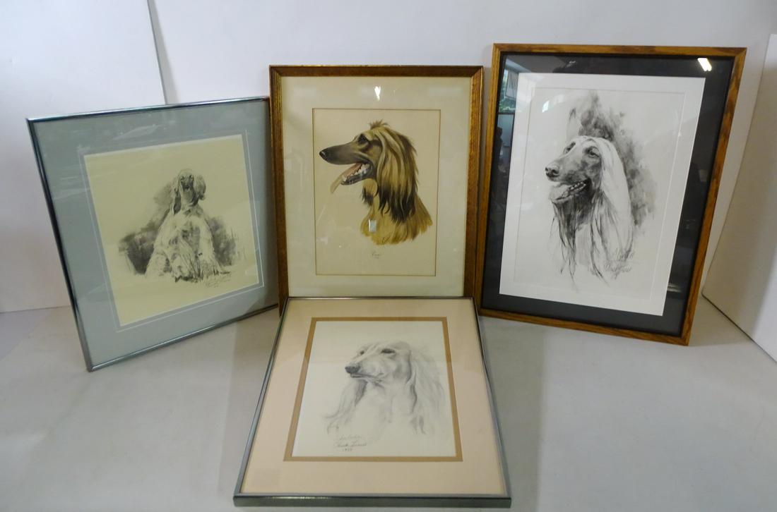 (4) SALUKI & AFGHAN HOUND WORKS INC. (3) CHUCK LIESE (1 of 5)