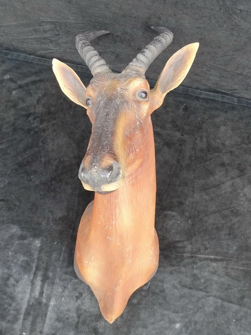 FIBRE GLASS ANTELOPE HEAD 32" HIGH 12" WIDE 21" DEEP (1 of 8)