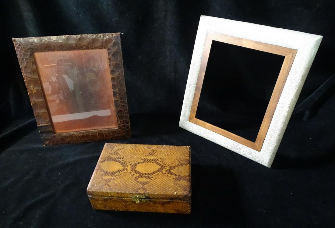 SNAKE BOX, ALLIGATOR FRAME, LIZARD FRAME; 6"X 3"X 9", 11" X 13", 12" X 14" (1 of 8)