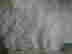 item-126924259=12
