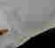 item-126924259=15
