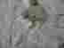 item-126924259=4