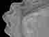 item-126924263=4