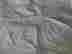 item-126924265=14