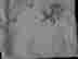 item-126924266=13