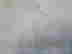 item-128937989=2