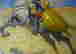 item-131189690=6