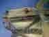 item-131189690=9