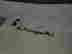 item-131189721=5