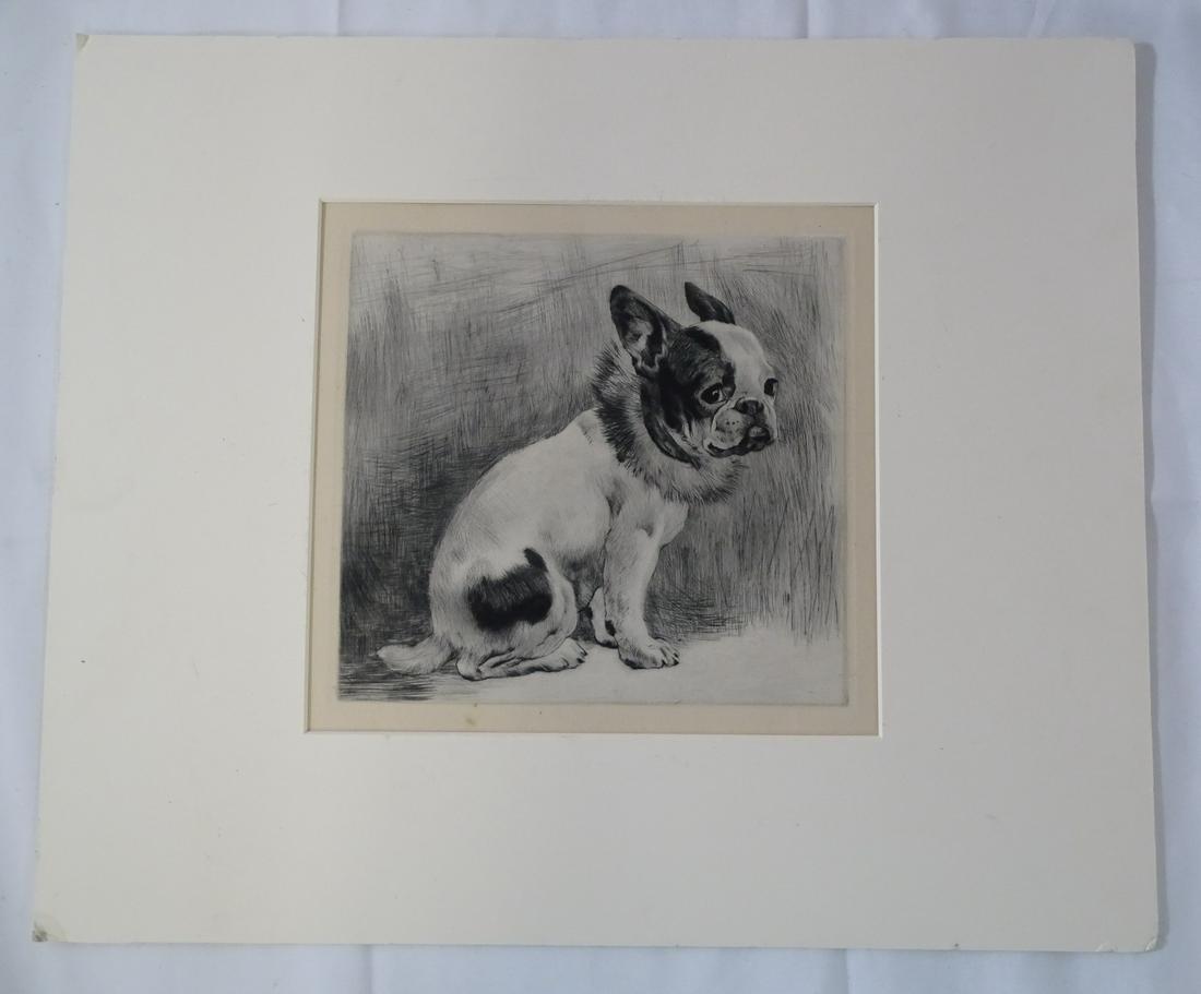 BULL DOG ETCHING 8" X 9" (1 of 3)