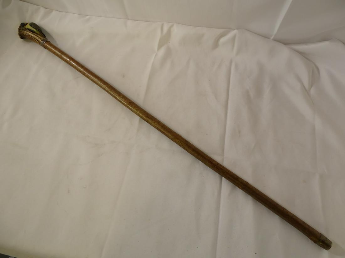 WOODPECKER FIGURAL WALKING STICK 37" LONG (1 of 6)