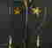 item-133883940=6
