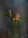 item-133883967=7