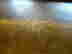 item-134093240=12