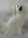 item-134093243=2