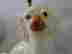 item-134093243=9
