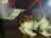 item-136035165=3