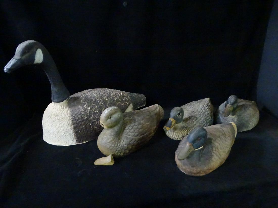 GROUP OF 5 PLASTIC DECOYS 15 x 20 x 8: GROUP OF 5 PLASTIC DECOYS 15 x 20 x 8