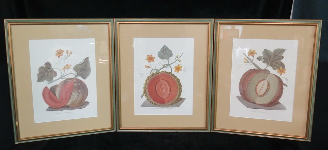 GROUP OF THREE PARTIAL GILT FRAMED MELON BOOK PLATES BY G. BROOKSHAW 14 X 10 IMAGE, 20.75 X 17.25 (1 of 15)