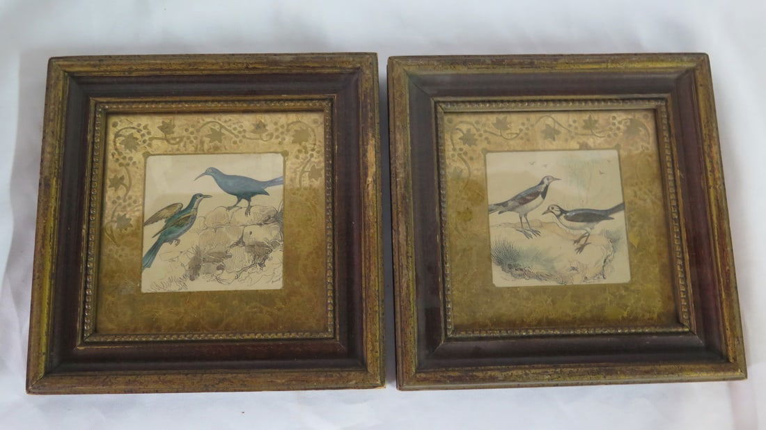 PAIR OF 19TH C. HANDTINTED PEN & INK BIRD DRAWINGS IN WOOD FRAMES WITH GILT MATS (1 of 7)