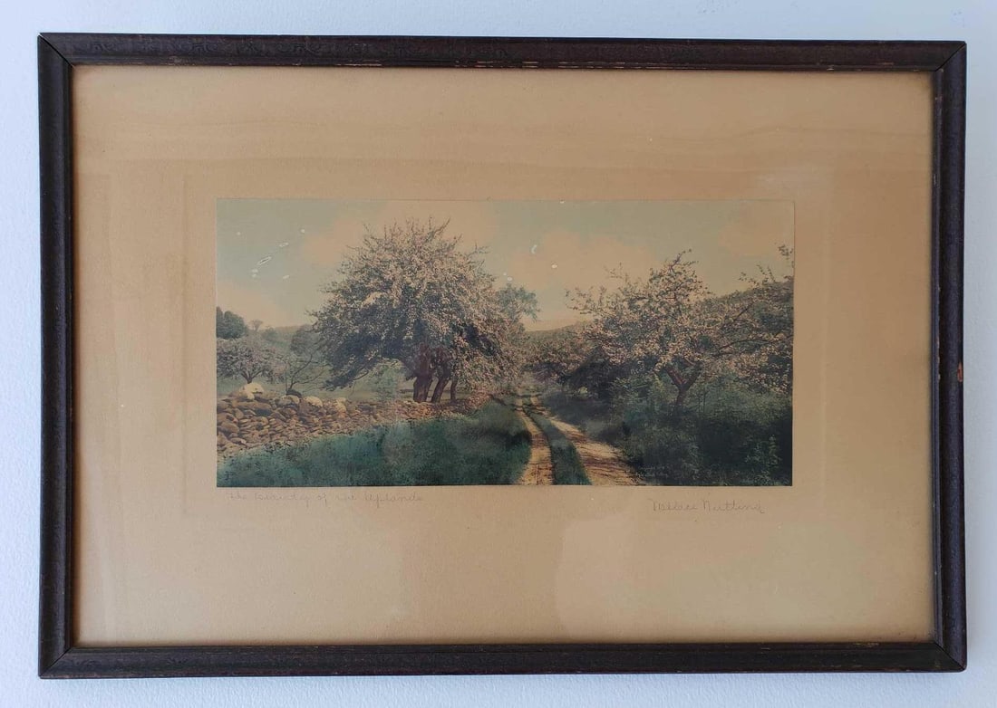WALLACE NUTTING SIGNED HAND COLORED PHOTOGRAPH (1 of 9)