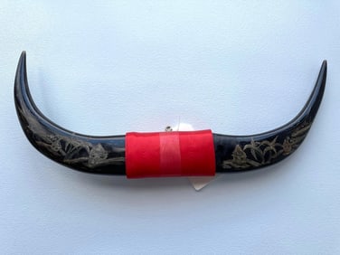 CARVED WATER BUFFALO HORNS