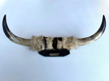MOUNTED STEER HORNS